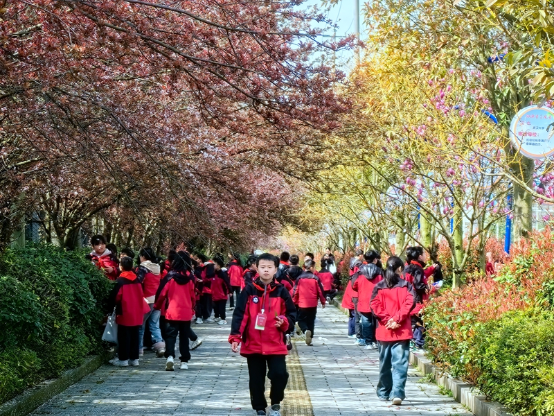 湘阴县知源学校：亲近自然 拓印春天