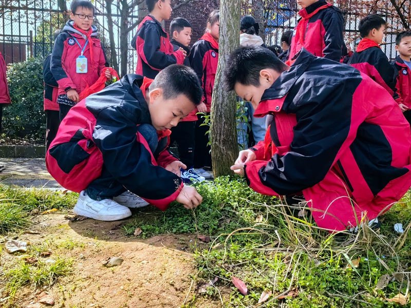 湘阴县知源学校：亲近自然 拓印春天